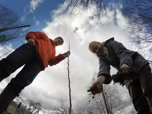 El joven y la mujer plantan un árbol frutal —  Fotos de Stock
