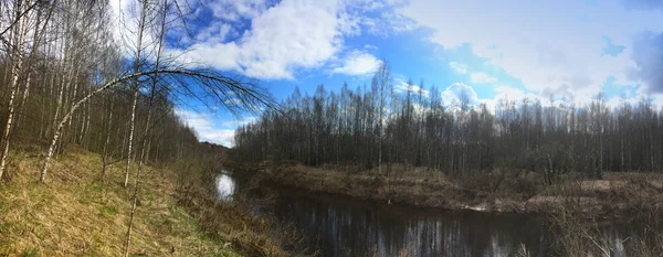 The river in the spring wood, a birch bent over water — Stock Photo, Image