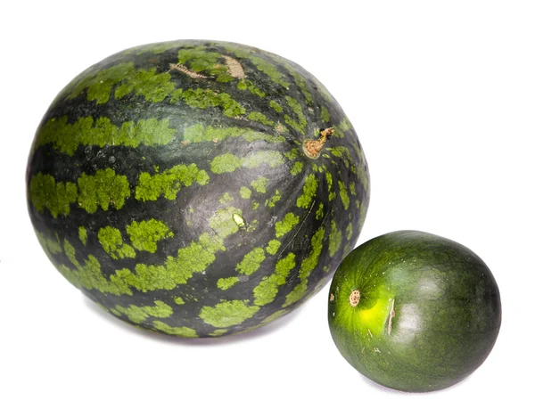 Duas melancias de vários graus - grande e anão — Fotografia de Stock