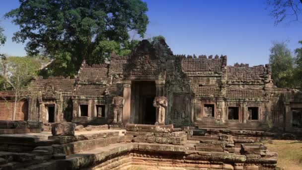 Преах Хан это переводится как священный меч. Деревья и руины храма, Siem Reap, Камбоджа — стоковое видео