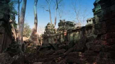 Preah Khan kutsal kılıcı çevrilir. Ağaçlar ve tapınağın Siem Reap, Kamboçya kalıntıları