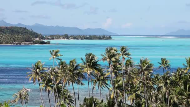 Vlny oceánu v laguny Bora Bora. Polynésie. — Stock video