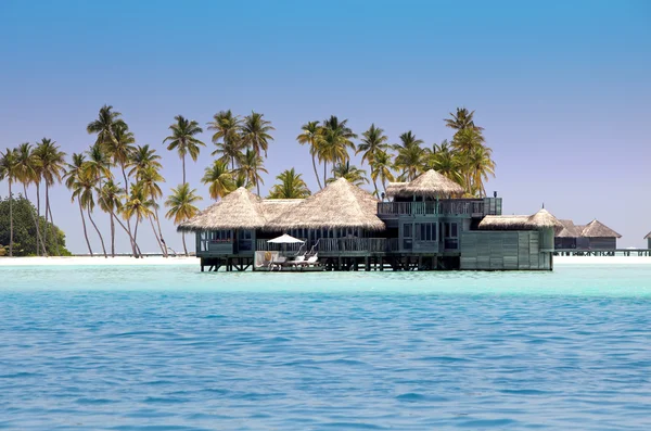 Casas sobre a água do mar tranquila transparente e uma palmeira. Maldivas — Fotografia de Stock