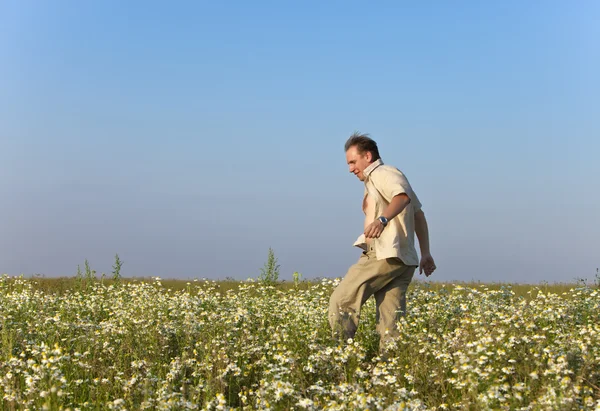 El joven feliz en el campo de la manzanilla — Foto de Stock