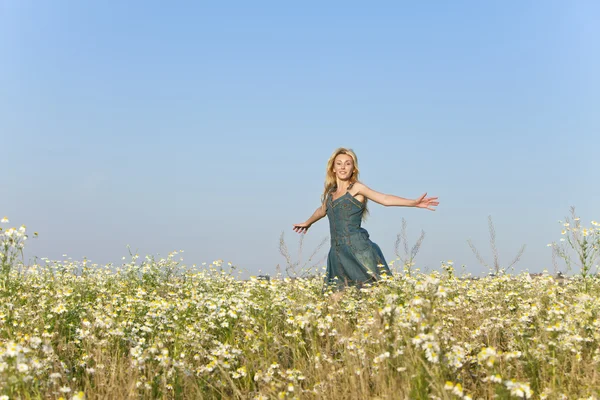 The happy young woman in the field  of camomiles — Stock Photo, Image