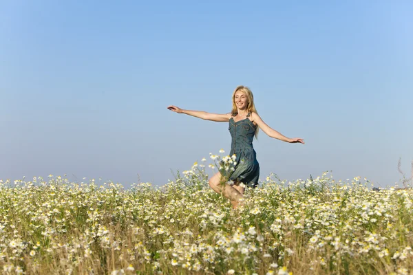 De gelukkige jonge vrouw op het gebied van camomiles — Stockfoto