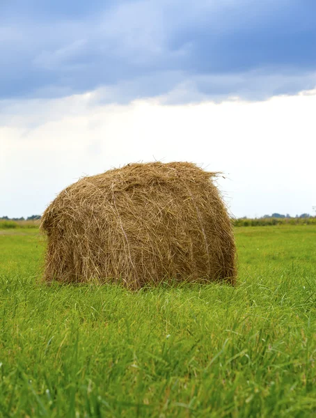 Stack in the field — Stock Photo, Image