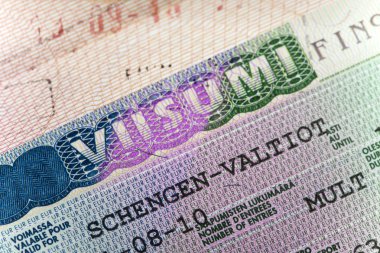 Pasaport Schengen vizesi