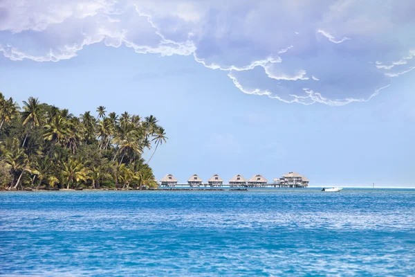 Polynesian landscape - seacoast with palm trees and small houses on water — Stock Photo, Image