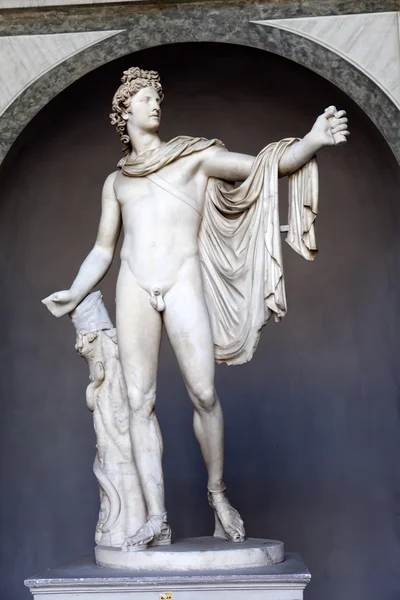 VATICAN - MAY 24: Apollo Belvedere statue in Vatican museum on May 24, 2011 in Vatican, Rome, Italy — Stock Photo, Image