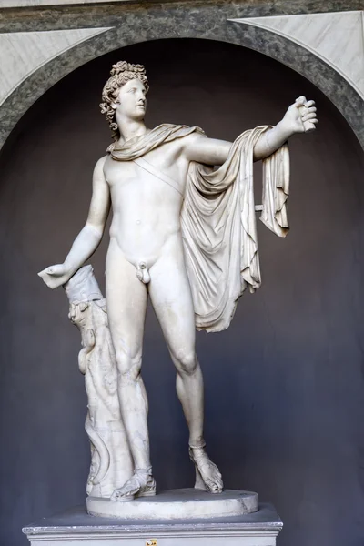 Vatican - 24. mai: apollo belvedere statue im vatican museum am 24. mai 2011 in vatican, rom, italien — Stockfoto