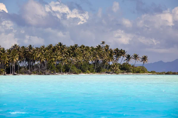 Остров с пальмами в океане — стоковое фото