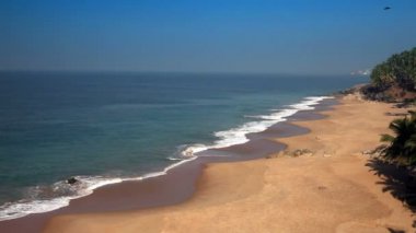 Palmiye ağaçları ile deniz kıyısı. Hindistan. Kerala.