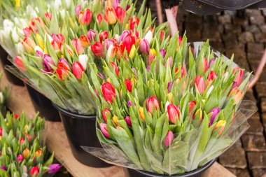 Lale çiçek pazarında