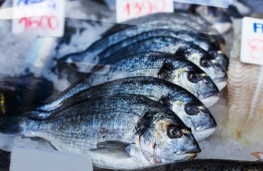 Deniz Balık pazarı