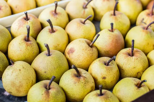 Gelbe Birnenfrucht — Stockfoto