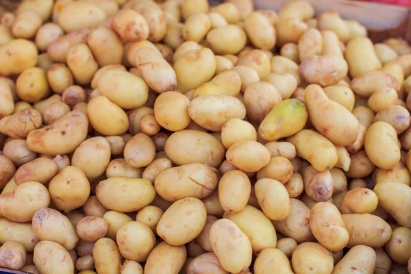 Potato Vegetable Heap — Stock Photo, Image