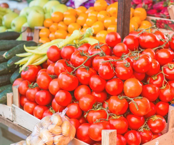 Tomate auf dem Marktplatz — Stockfoto