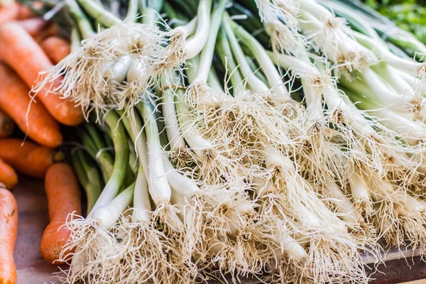 Frische Frühlingszwiebeln — Stockfoto