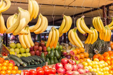 Taze karışımı egzotik meyve