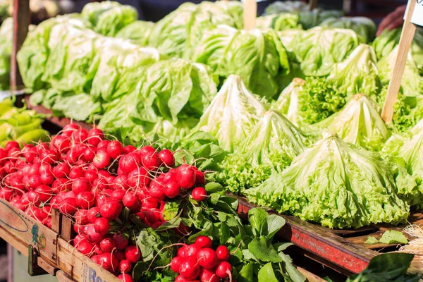 Frischer Salat auf dem Markt — Stockfoto