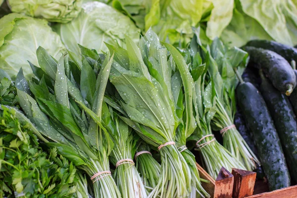 Fresh Vegetable on Market — Stock Photo, Image