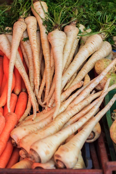 Parsley Root Vegetable — Stock Photo, Image