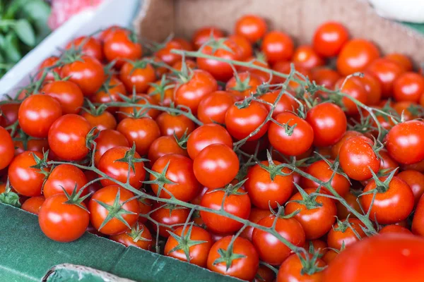 Pomodori ciliegia freschi — Foto Stock