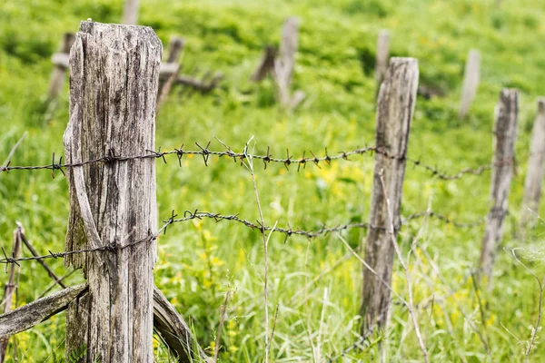 Vecchia recinzione in legno — Foto Stock