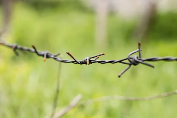 Nahaufnahme aus Stacheldraht — Stockfoto