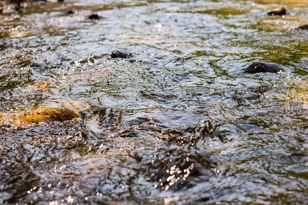 Lente Stream Water — Stockfoto