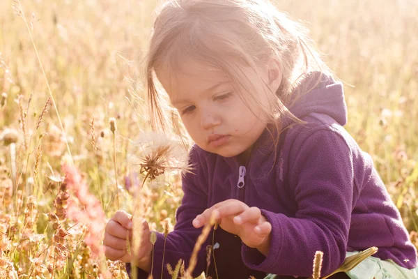 L'enfance dans la nature — Photo