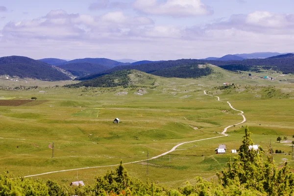 Camino rural en Green Valley Naturaleza Paisaje — Foto de Stock