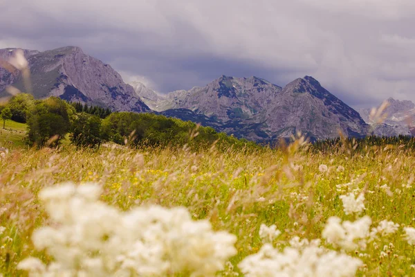 Горный ландшафт Черногории — стоковое фото