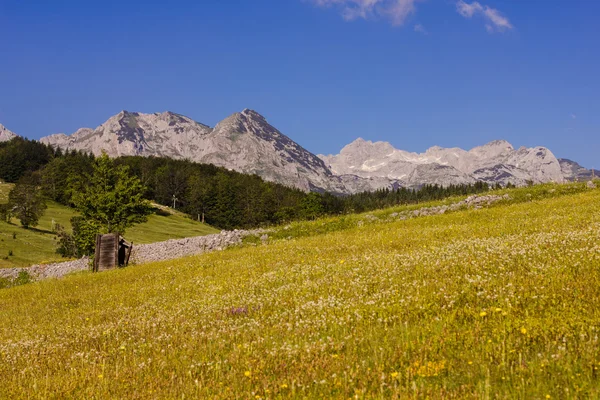 Naturaleza Montaña Paisaje Montenegro — Foto de Stock