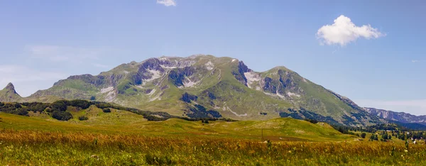 Natura Munte Peisaj Muntenegru — Fotografie de stoc gratuită