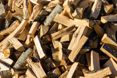 Kesme ağaçlar yığını