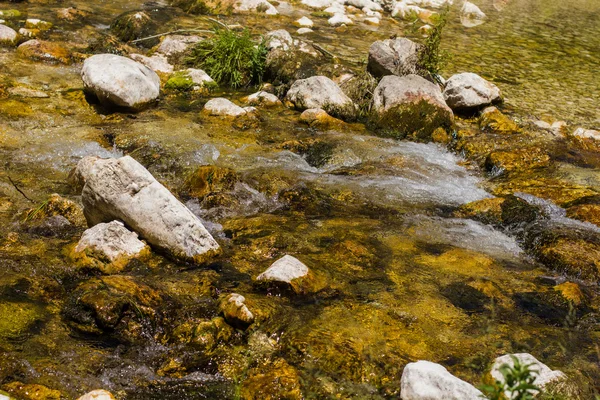 Stream Over Rocks Natura — Foto Stock