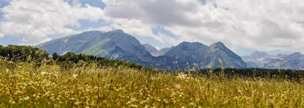 Černá Hora příroda horské krajiny — Stock fotografie zdarma