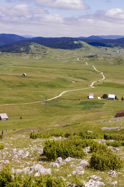 Camino rural en Green Valley Naturaleza Paisaje — Foto de Stock