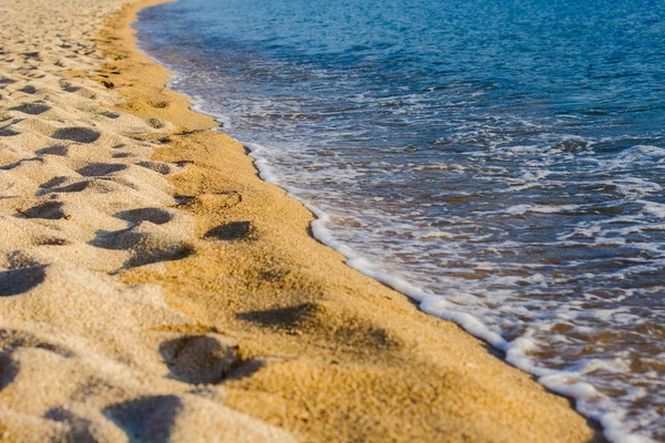 Verano Naturaleza Paisaje Playa —  Fotos de Stock