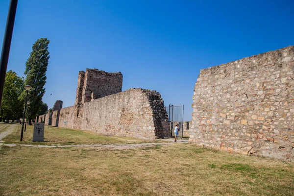 Smederevo要塞 中世纪设防的城市位于多瑙河的右岸 Smederevo 塞尔维亚 旅游目的地 — 图库照片