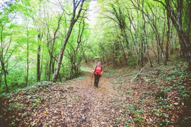 Sırt çantalı Yürüyüş Kadını. Sonbahar günü orman yolunda yürümek. Doğa yaşam tarzı.