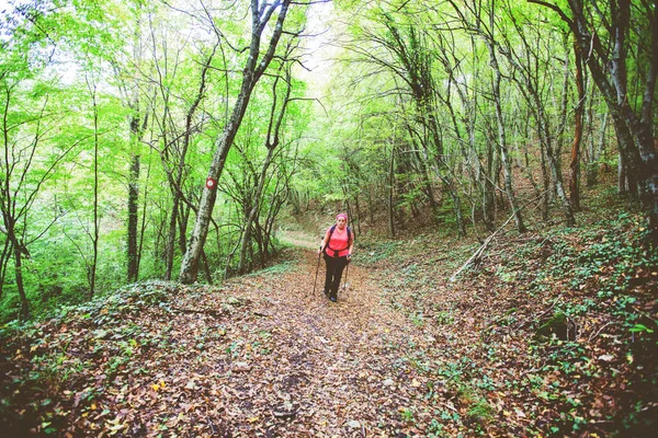 Turistka Batohem Kráčet Lesní Stezce Podzim Životní Styl Přírody — Stock fotografie