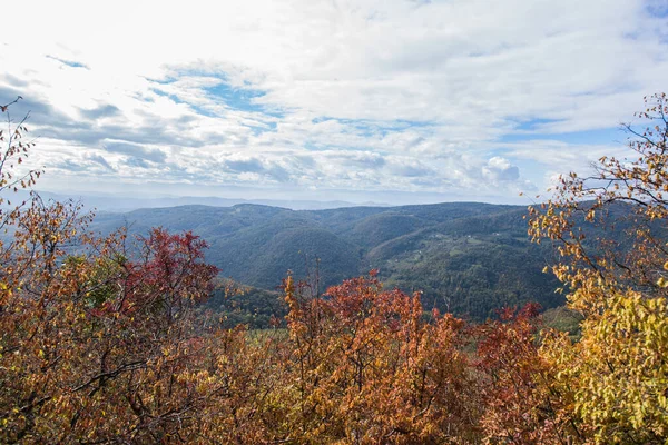 Schöne Natur Bergwelt Blick Die Ovcar Kablar Schlucht Westen Serbiens — Stockfoto