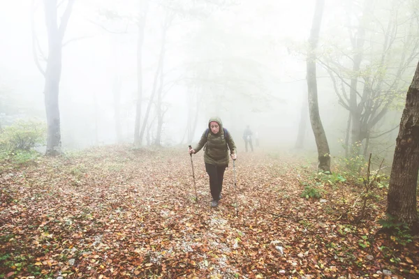 Прогулка Женщина Ходить Туманный Осенний День Через Туманный Лес Здоровый — стоковое фото