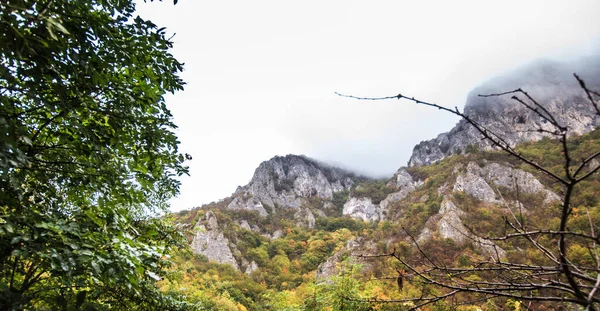 아름다운 세르비아 서부에 가을입니다 구름낀 — 스톡 사진
