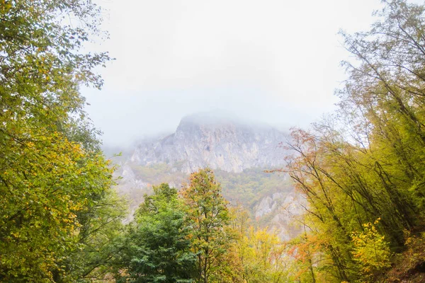 Вид Горный Ландшафт Ущелье Овкар Каблар Западной Сербии Осенний День — стоковое фото