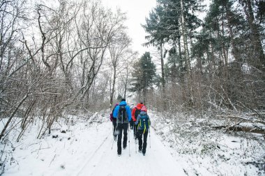 Bir grup yürüyüşçü kış günü yürüyüş yolunda yürüyor..