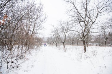 Kış karlı bir gün, doğa manzarası.